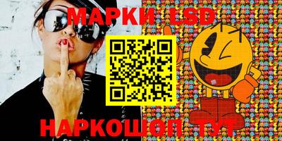 apvp Кингисепп