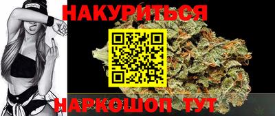 apvp Кингисепп