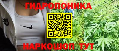 apvp Кингисепп