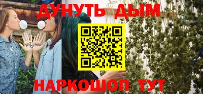 apvp Кингисепп