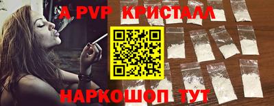 apvp Кингисепп